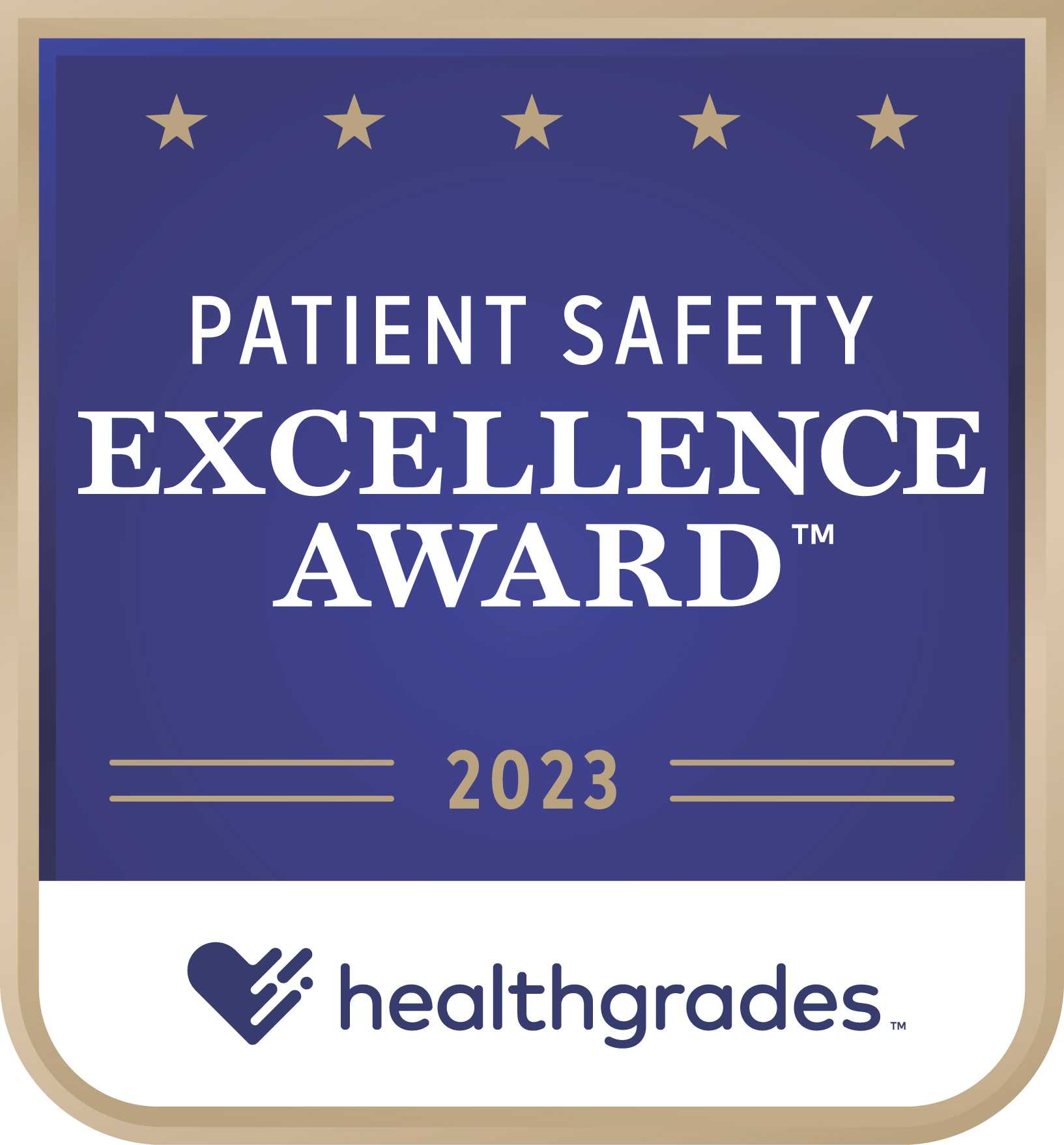  Patient Safety Excellence Award  
