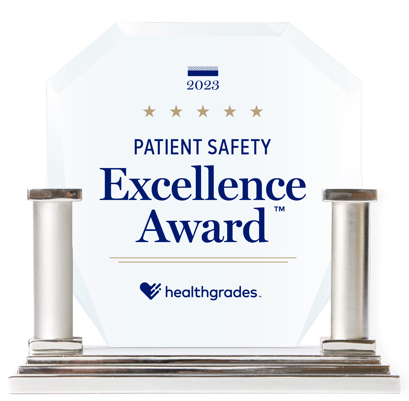  Patient Safety Excellence Award 