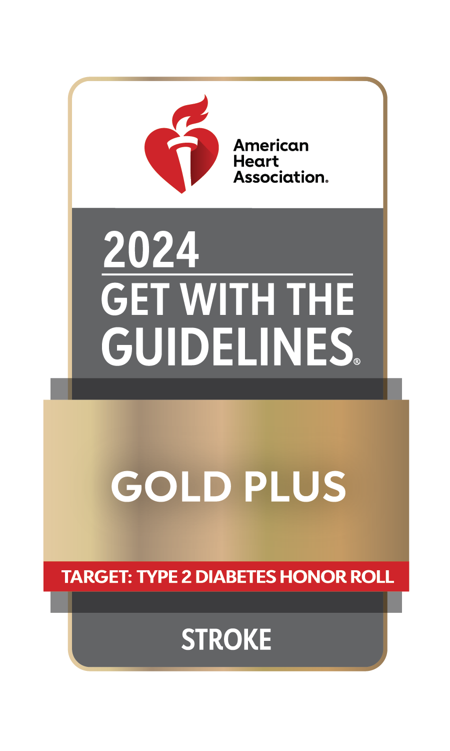  Get With The Guidelines – Heart Failure – Stroke PLUS (Gold Level), 2024 